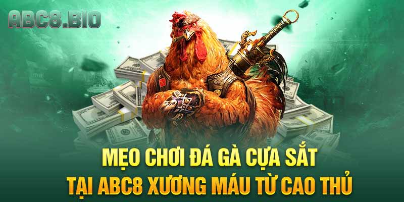 Mẹo chơi đá gà cựa sắt tại ABC8 xương máu từ cao thủ