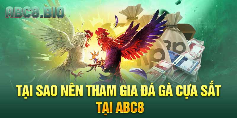 Tại sao nên tham gia đá gà cựa sắt tại ABC8