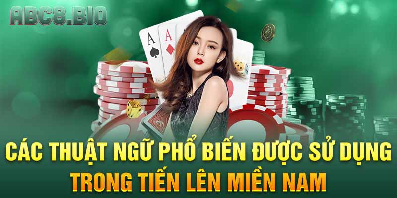 Các thuật ngữ phổ biến được sử dụng trong tiến lên Miền Nam