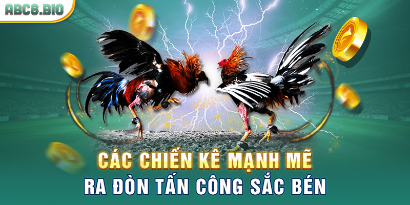 Các chiến kê mạnh mẽ, ra đòn tấn công sắc bén