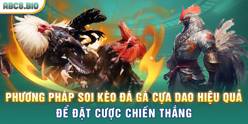 Phương pháp soi kèo đá gà cựa dao hiệu quả để đặt cược chiến thắng