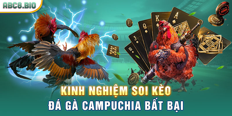 Kinh nghiệm soi kèo đá gà campuchia bất bại