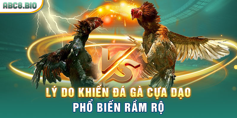 Lý do khiến đá gà cựa dạo phổ biến rầm rộ