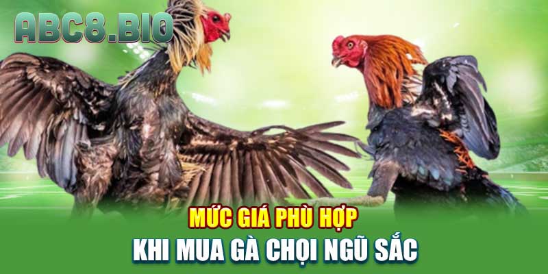 Mức giá phù hợp khi mua gà chọi ngũ sắc