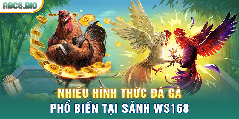 Nhiều hình thức đá gà phổ biến tại sảnh WS168