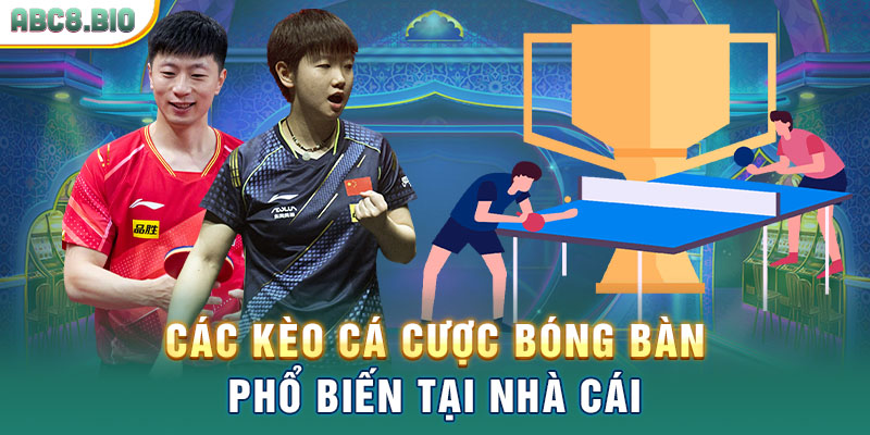 Các kèo cá cược bóng bàn phổ biến tại nhà cái